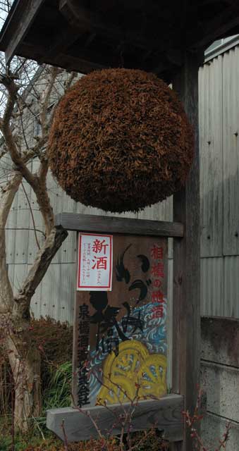 杉玉