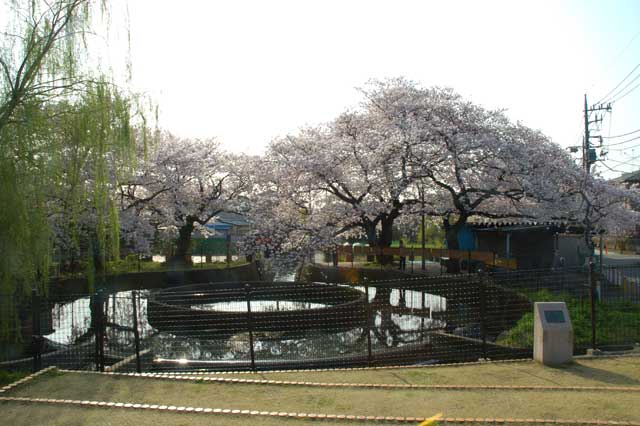 久地円筒分水1