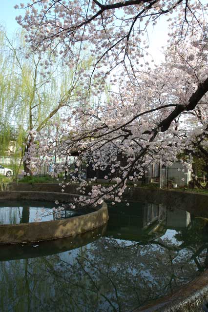 久地円筒分水3