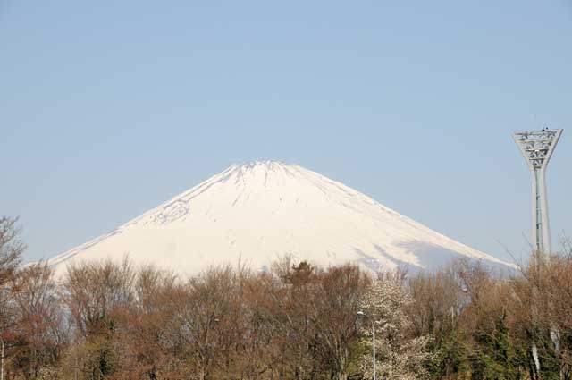 足柄SAからの富士山