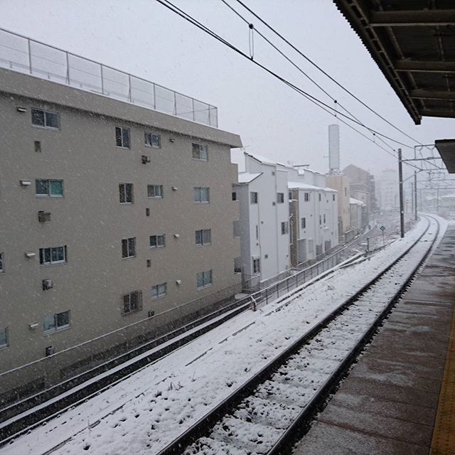 菊名の方が雪多い