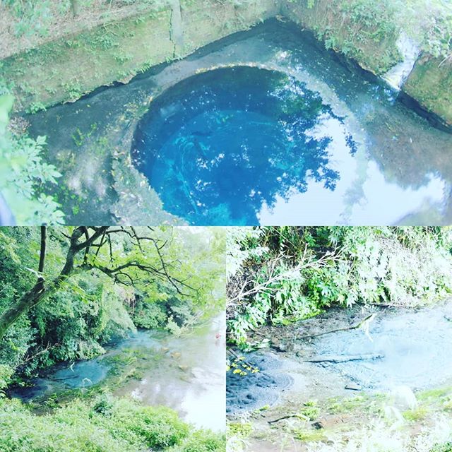 御殿場は雲の中なので下に降りた。湧水場所は涼しい。#touring