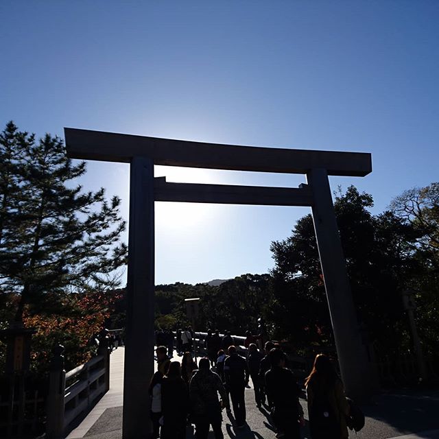 混む前に参拝#touring